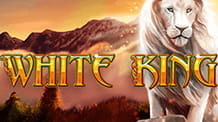 Bild des Covers des Playtech White King Spielautomaten.