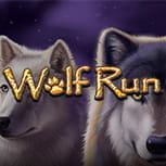 Bild des Schlitzes Wolf Run.