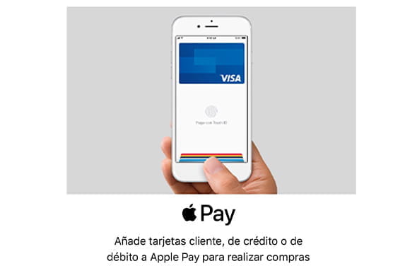 Zweiter Schritt in der Apple Pay-Registrierung, um die Kartendaten hinzuzufügen.