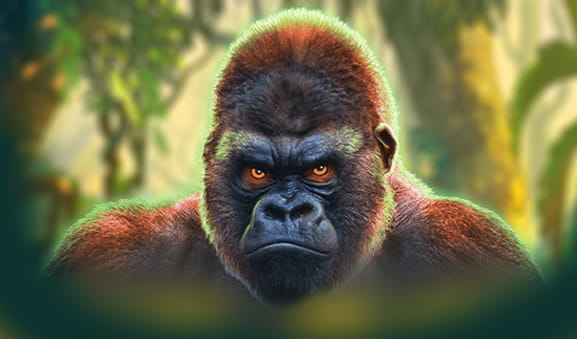 Portada del juego Epic Ape.