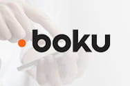 Logo der Boku.