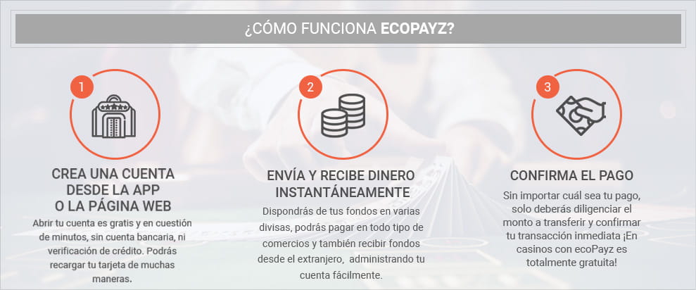 Infografik zur Erläuterung der Funktionsweise von ecoPayz.