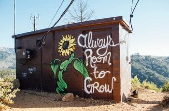 Stand mit gezeichneter Sonnenblume und dem Slogan: Immer Platz zum Wachsen.